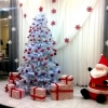 С Новым Годом! С Новым Годом!